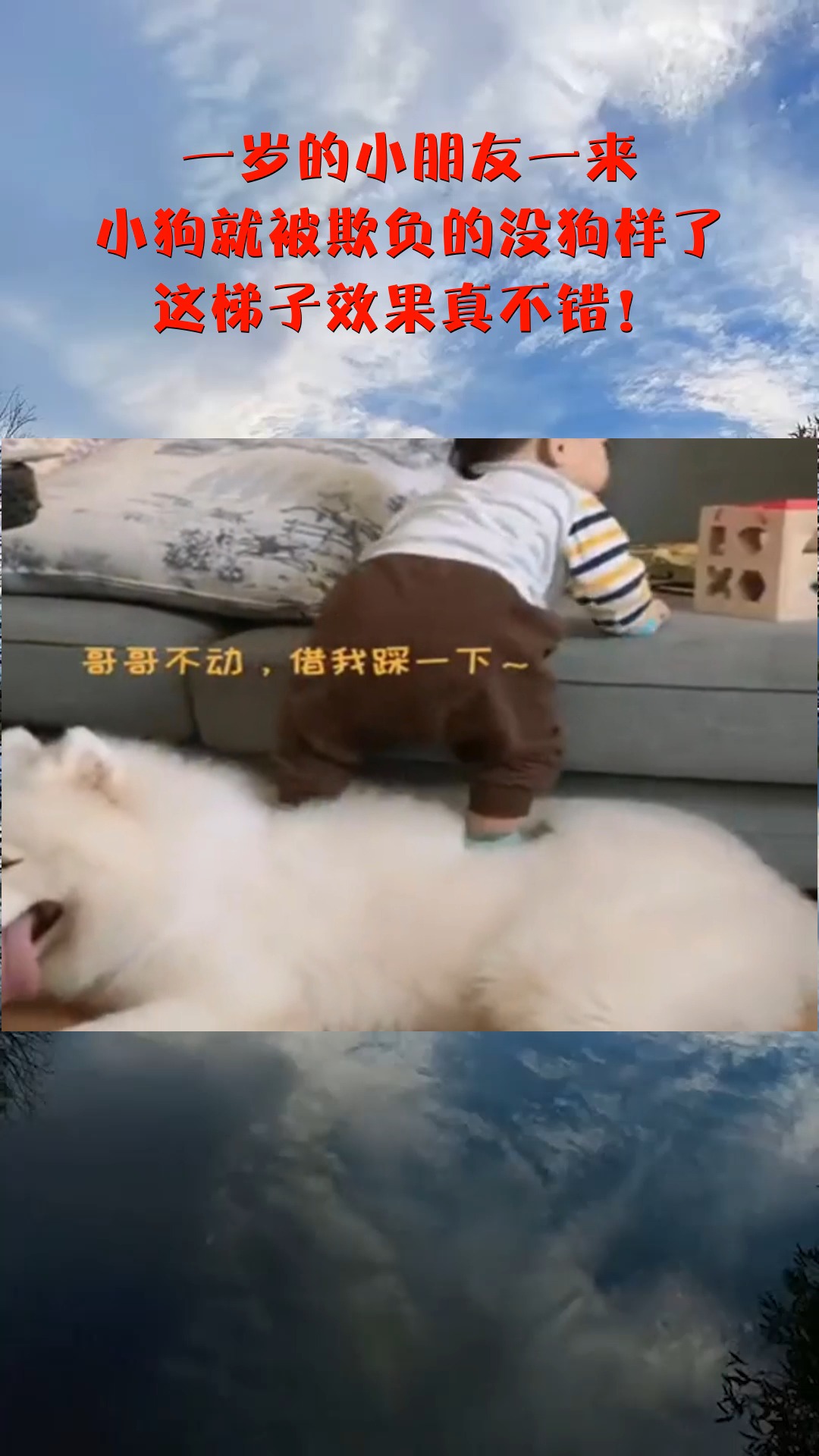 借梯子意思-借梯子告诉我们什么道理