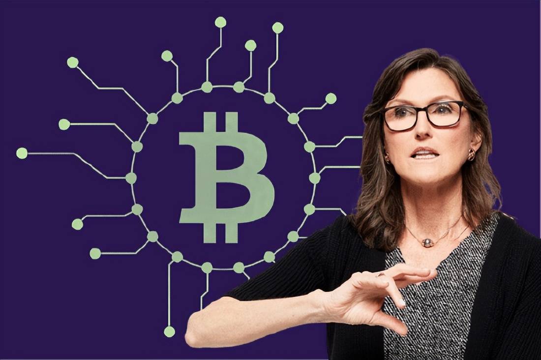 coinbase上市币种-coinbase上市买啥币