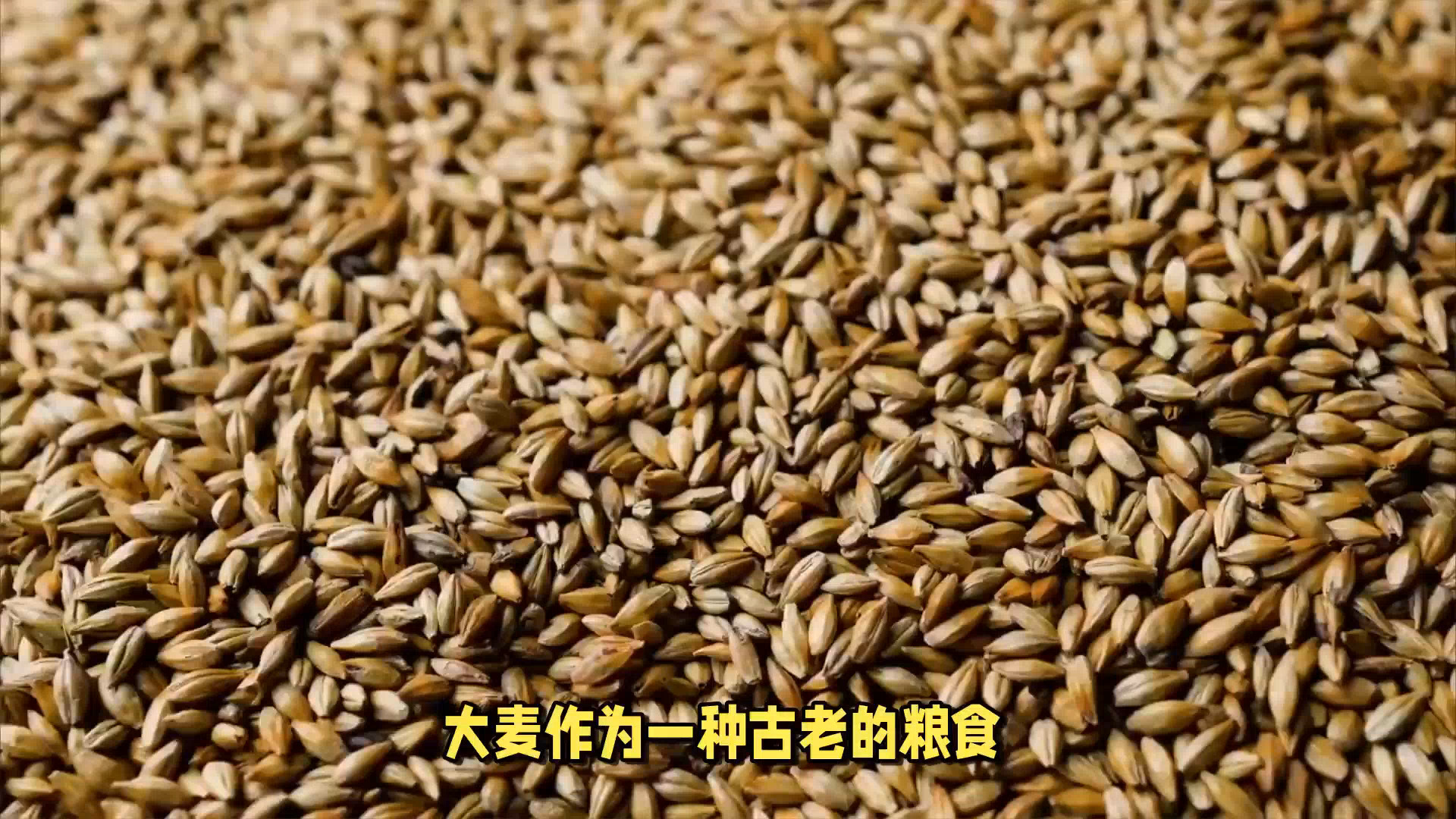 大麦钱包是真的吗-大麦钱包是套路贷吗