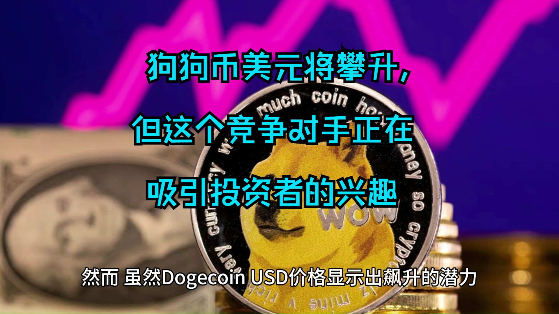 狗狗币交易今日价格美金-狗狗币今日20美元购买价格