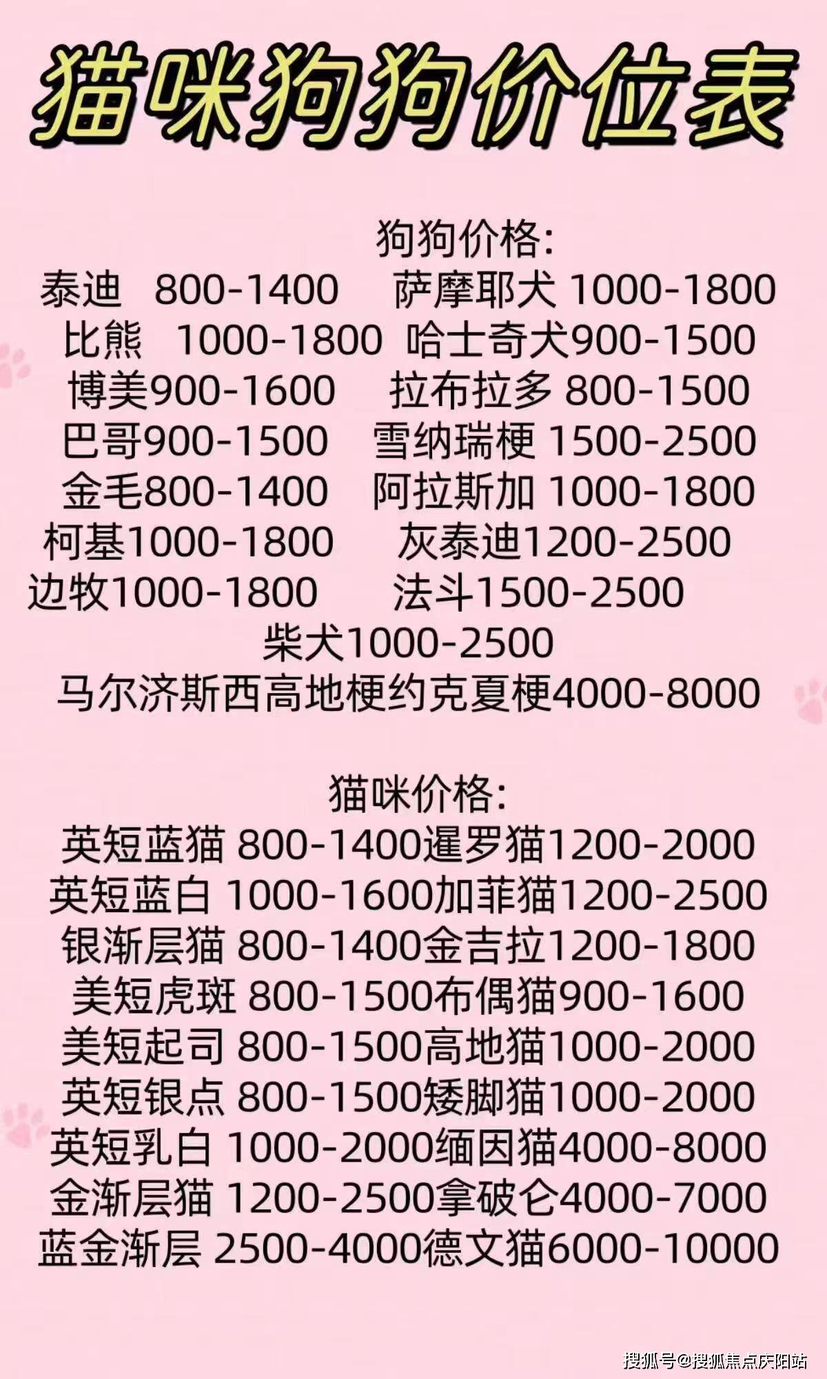 狗狗币交易今日价格美金-狗狗币今日20美元购买价格