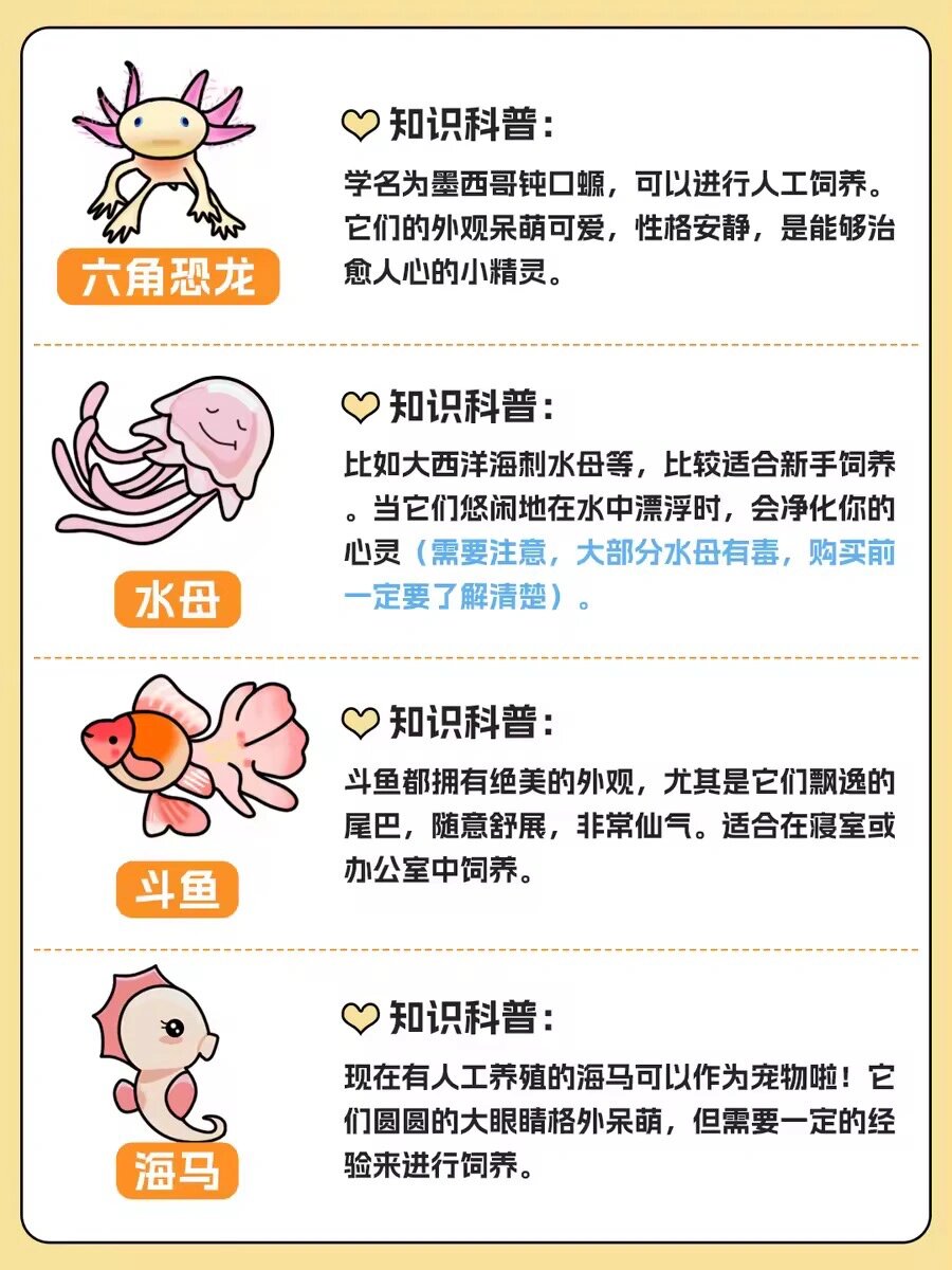 六字指什么动物-六字指什么动物生肖