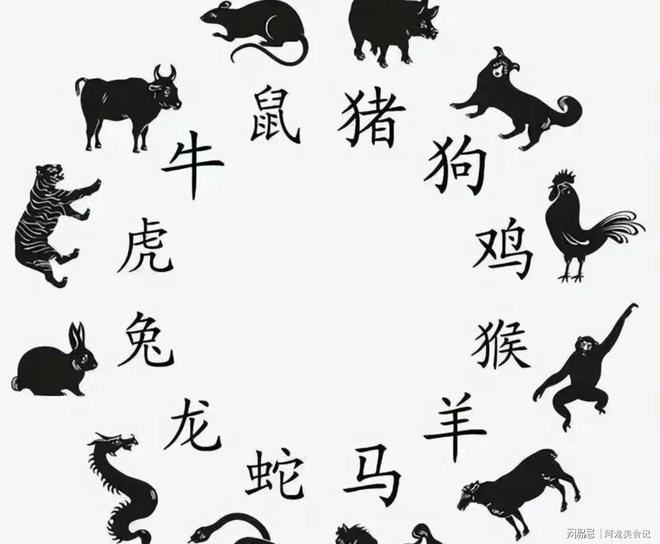 立春代表哪个生肖-立春什么生肖打一肖