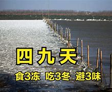 可望四九也出动-可望四九也出动打一动物最佳答案