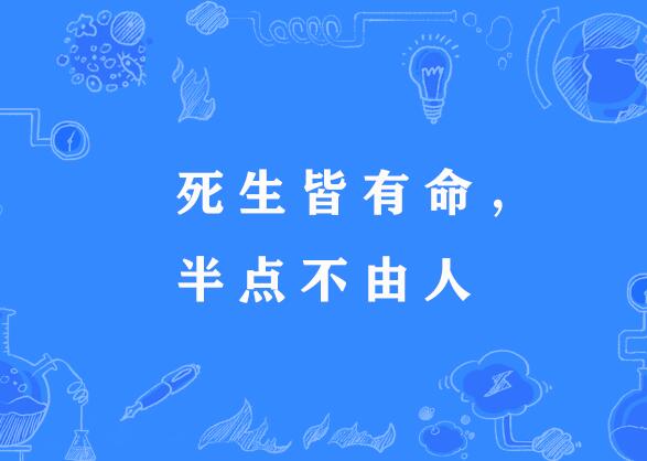 半条命的意思是什么-半条命指的是什么意思