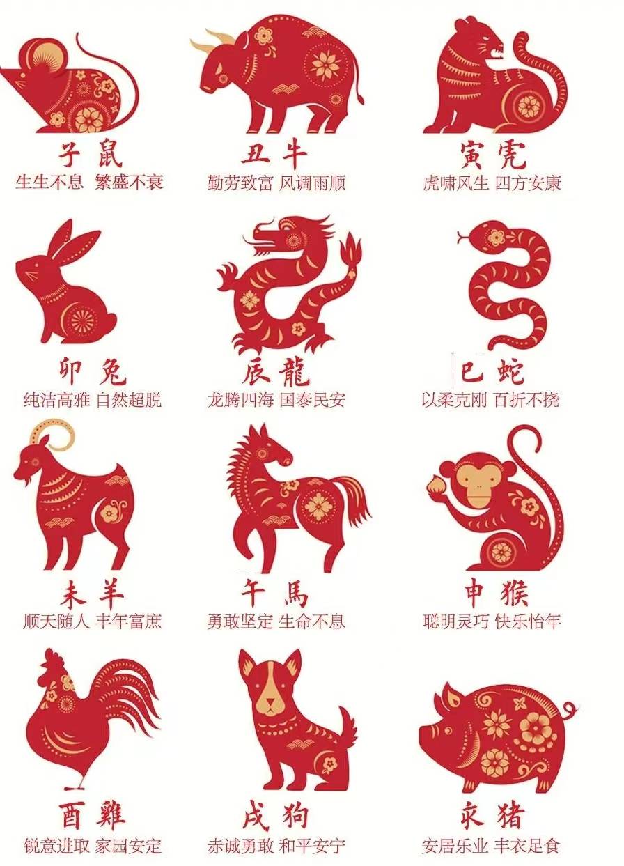 玄机指哪个生肖最好-玄机指哪个生肖最好呢