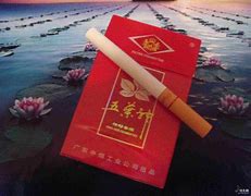 五叶神是特马猜一最佳动物-五叶神是特马猜一肖开过什么