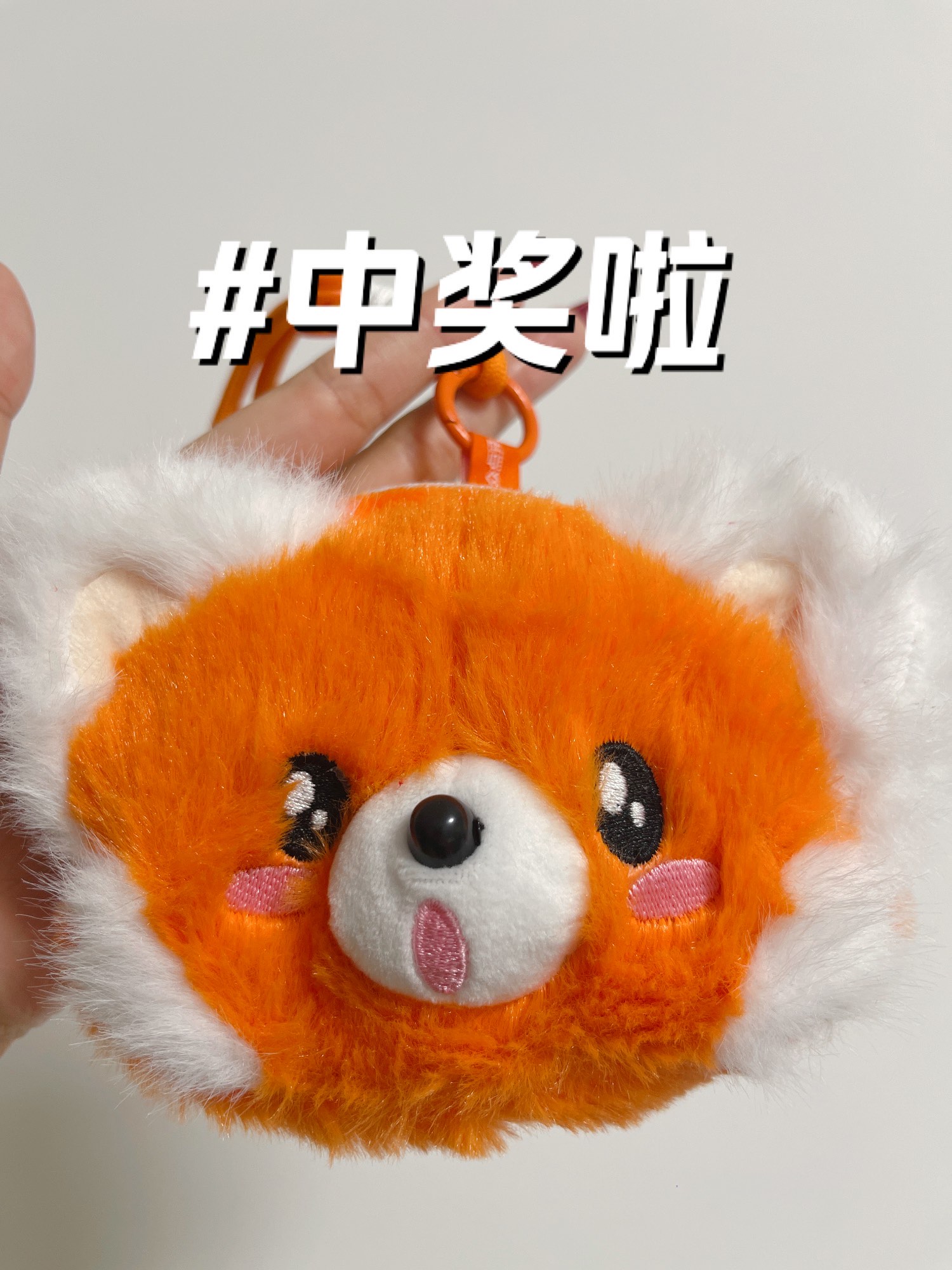 小狐狸钱包APP使用教程-小狐狸钱包使用方法详细教程