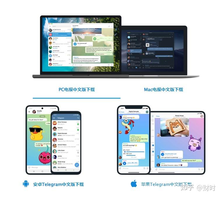 telegraph中国版-telegraph官方下载