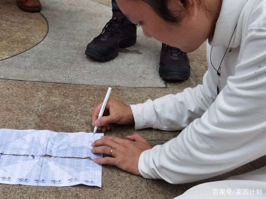 纸飞机出售账号被抓-纸飞机账号是什么意思