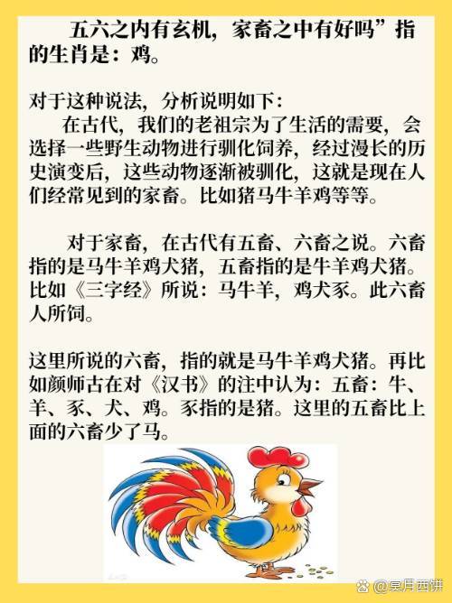 六字出玄机最佳生肖-六字出玄机最佳生肖是什么