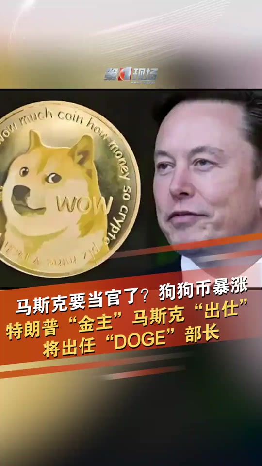 dogecoin狗狗币官网-dogecoin狗狗币是什么
