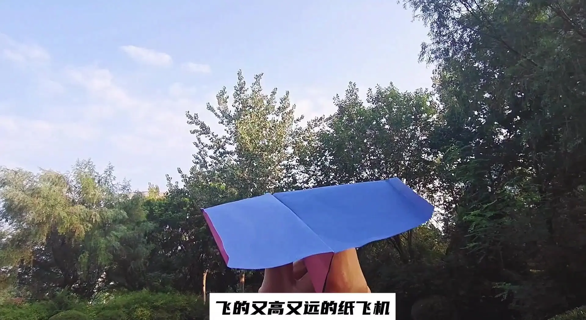 纸飞机网页版-纸飞机网页版注册