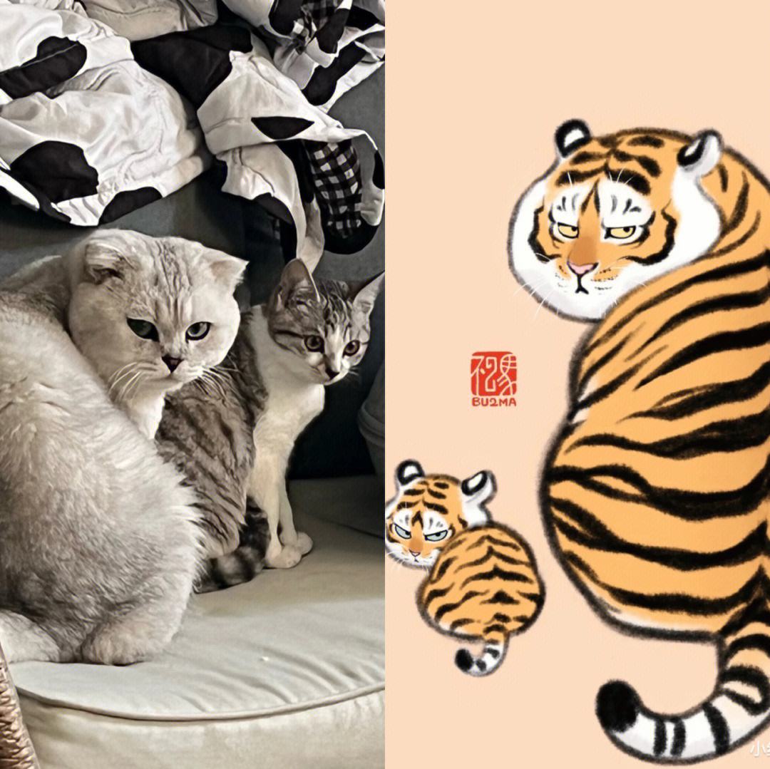 六部玄机码打一准确动物-六部玄机码中码打一生肖数字