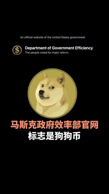 狗狗币马斯克-狗狗币马斯克金融的