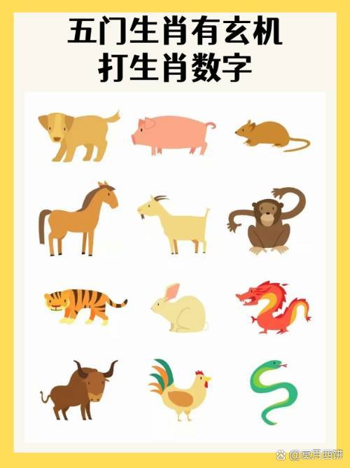 今期6字出玄机解数字-今期六字出玄机是指哪个生肖