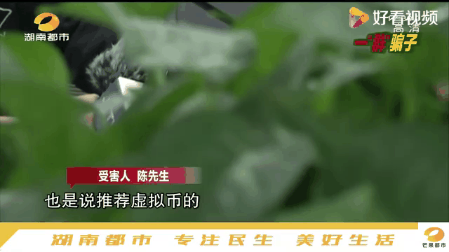 炒虚拟币犯法吗?-炒虚拟币属于赌博吗