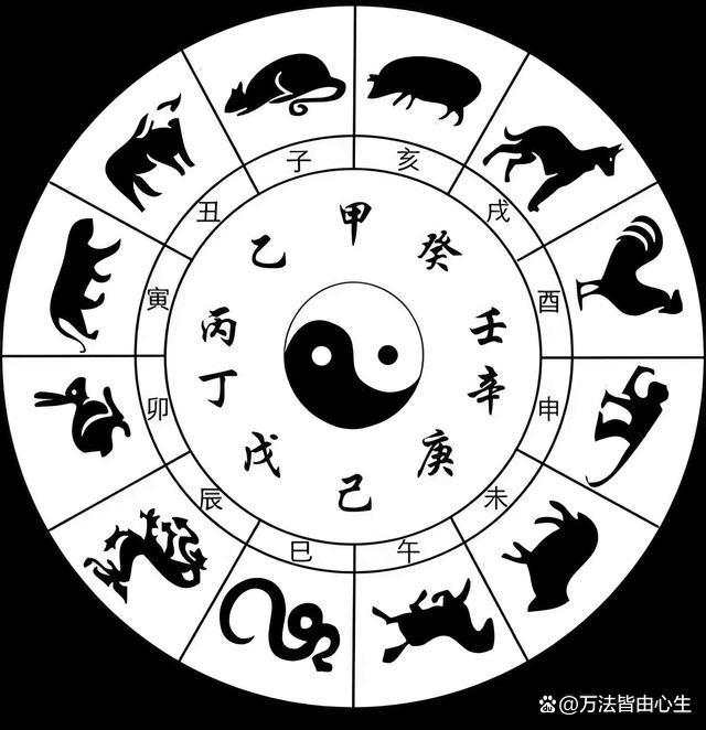 一清二白打一精准生肖-一清二白打一精准生肖是什么