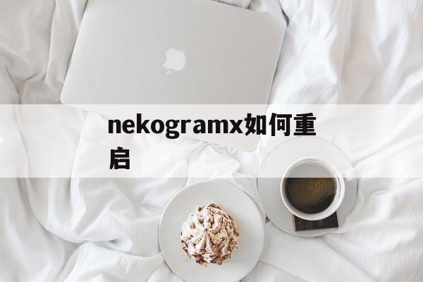 [nekogramx如何重启]neko collector怎么玩