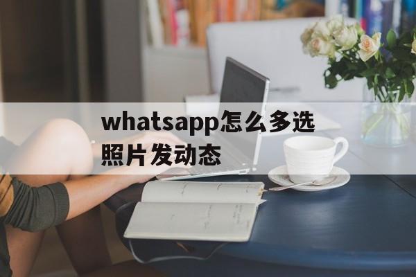 whatsapp怎么多选照片发动态-whatsapp怎么添加gif表情包